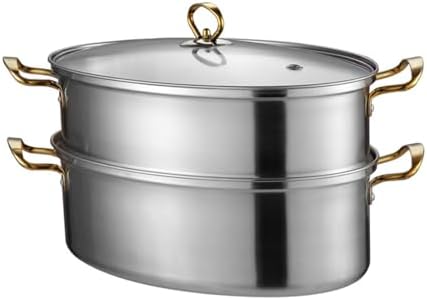 AIZYR 304 Stainless Steel 2 Tier Fish Steamer with Rack Lid