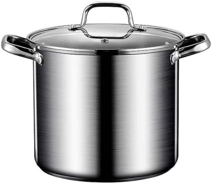 AIZYR 65L Stock Pot with Lid 304 Stainless Steel