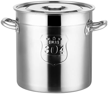 AIZYR 304 Stainless Steel Stockpot with Lid 6L