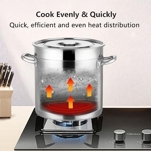 AIZYR 304 Stainless Steel Stockpot with Lid 6L