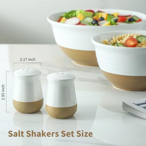Tikooere Salt Pepper Shaker Set of 2 Ceramic Patchwork