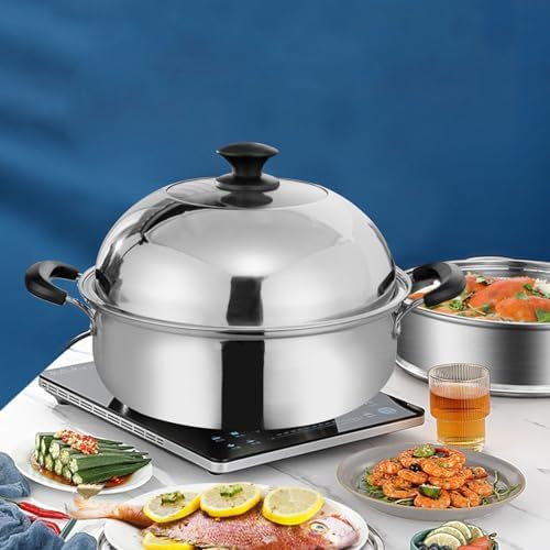 AIZYR 2 Tier Steamer Pot 28cm