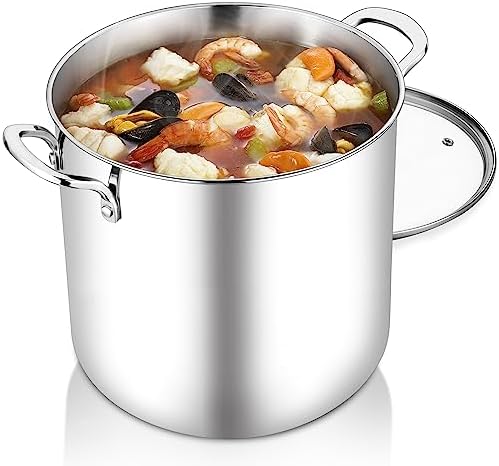 TeamFar 12 Quart Stock Pot with Lid 1810 Stainless Steel