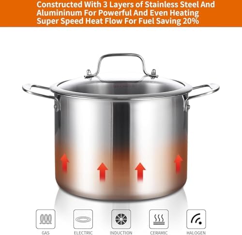 Delarlo 12QT Tri-Ply Stock Pot with Lid Induction Ready