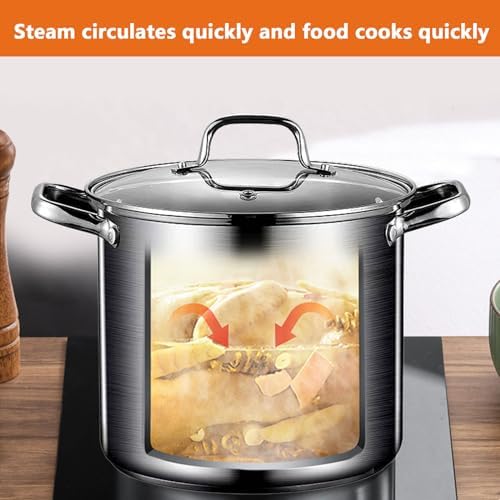 AIZYR 65L Stock Pot with Lid 304 Stainless Steel