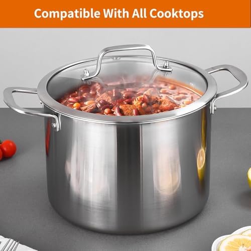 Delarlo 12QT Tri-Ply Stock Pot with Lid Induction Ready