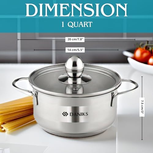 Daniks Mini 1 Quart Stainless Steel Sauce Pot with Glass Lid 1