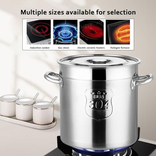 AIZYR 10L Stainless Steel Stockpot with Steel Lid