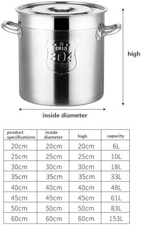 AIZYR 10L Stainless Steel Stockpot with Steel Lid