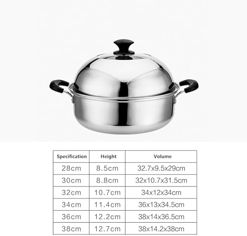AIZYR 2 Tier Steamer Pot 28cm