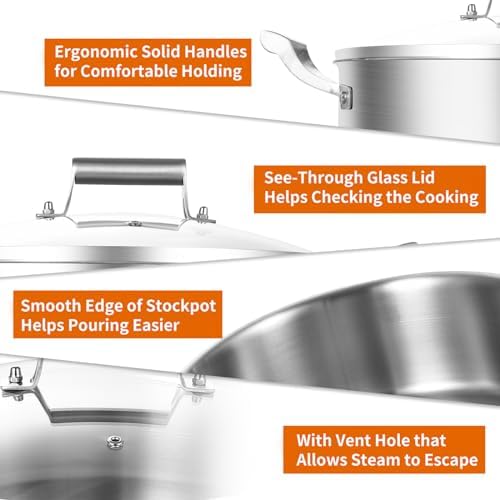 Delarlo 7QT Tri-Ply Stainless Steel Stockpot with Glass Lid