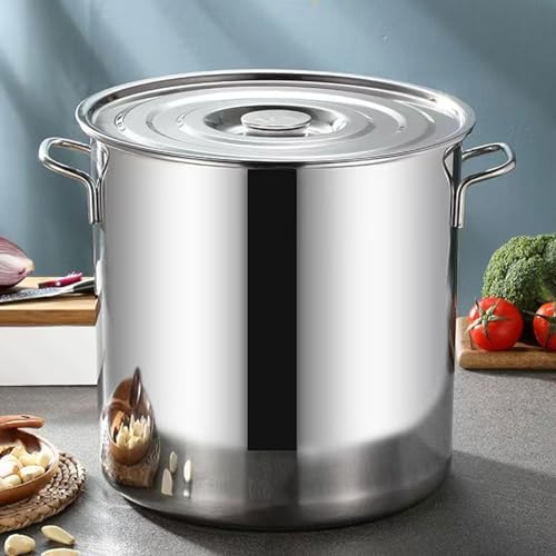 AIZYR 6L Stainless Steel Stock Pot with Lid 1