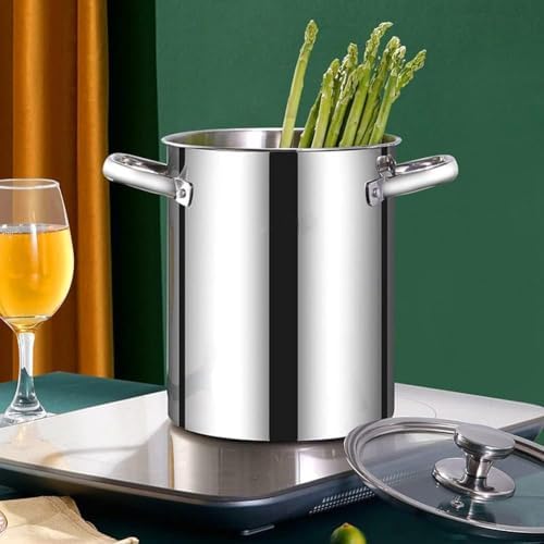4L Asparagus Steamer with Wire Basket and Glass Lid