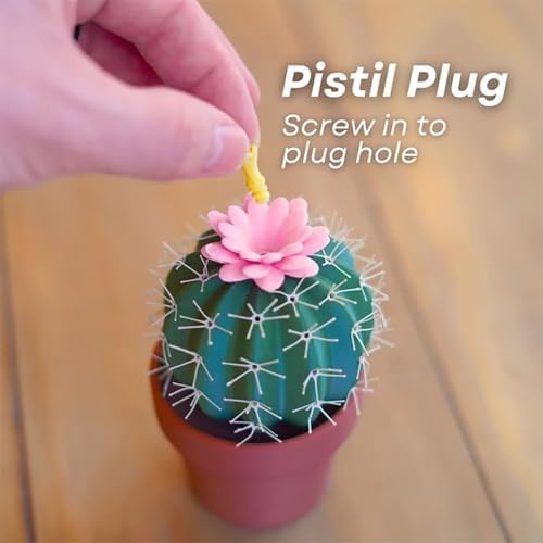 Cactus Salt and Pepper Shaker Set 2pcs Cute Design