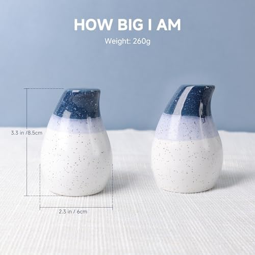 KERMANDO Ceramic Salt Pepper Shaker Set - 2 Pack Blue White