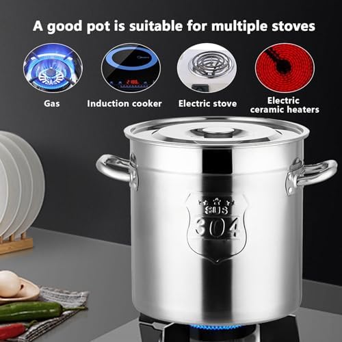 AIZYR 304 Stainless Steel Stockpot with Lid 6L