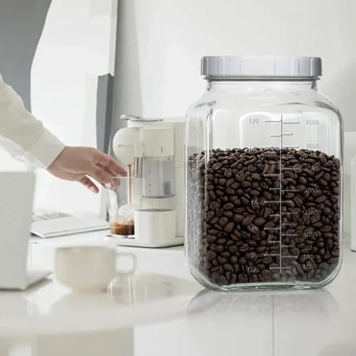 Galssmagic 1 Gallon Glass Jar with Lids 2 Pack 1