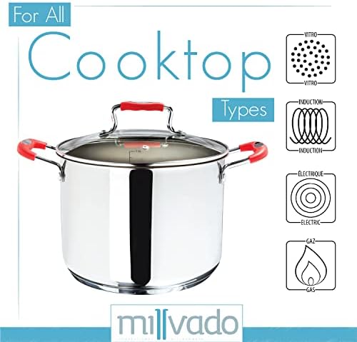 Millvado 11 Quart Stainless Steel Stock Pot with Clear Glass Lid