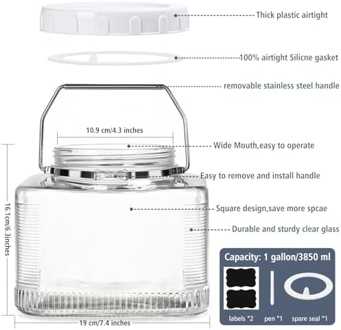 Folinstall 2 Pack 1 Gallon Mason Jars with Lid and Handle