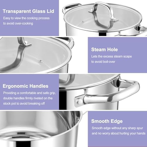 TeamFar 8QT Stock Pot with Lid and Double Handles