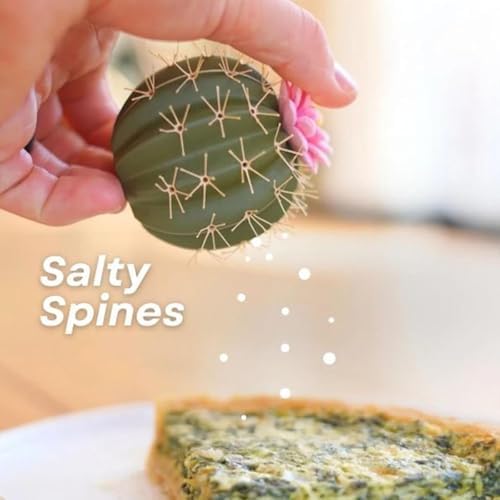 Cactus Salt and Pepper Shaker Set 2pcs Cute Design