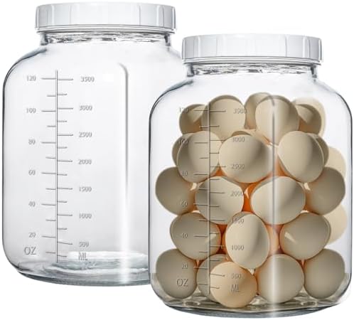 Galssmagic 1 Gallon Glass Jar with Lids 2 Pack 1