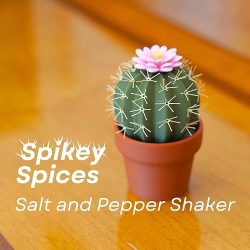 Cactus Salt and Pepper Shaker Set 2pcs Cute Design