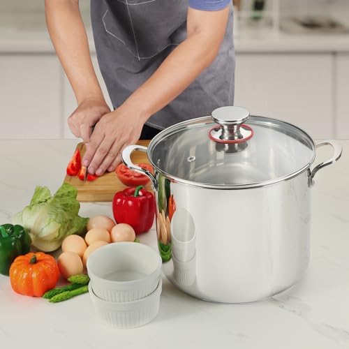 12 Quart Stainless Steel Stock Pot with Lid