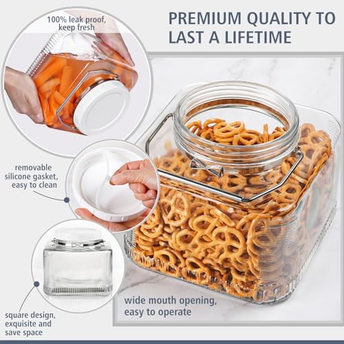 Folinstall 2 Pack 1 Gallon Mason Jars with Lid and Handle