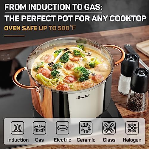 Ciwete 8 Quart 12 Quart Stock Pot Set