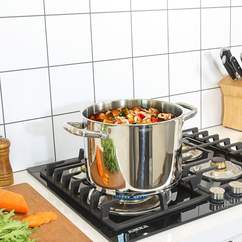 Rorence 8 QT Stockpot with Tempered Glass Lid 1