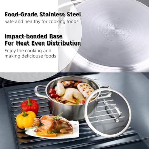 6-Quart Stainless Steel Stockpot with Tempered Glass Lid - Silver 1