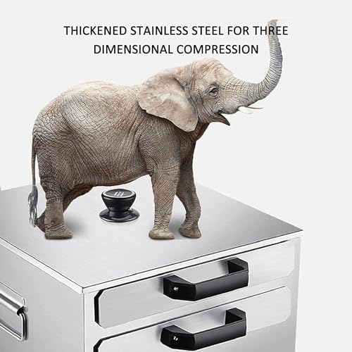 BINGWANG Stainless Steel Pasta Pot Steamer with 1 Tray and 2 Solid Trays