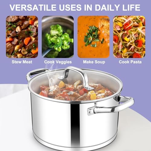 TeamFar 8QT Stock Pot with Lid and Double Handles
