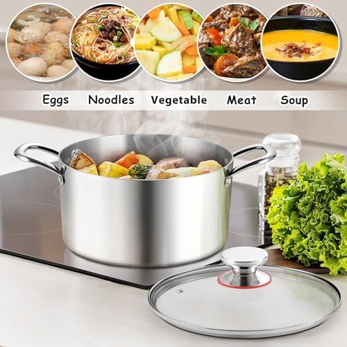 E-far 6 Quart Stock Pot with Glass Lid 1