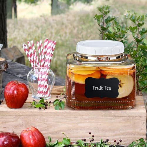 Folinstall 2 Pack 1 Gallon Mason Jars with Lid and Handle