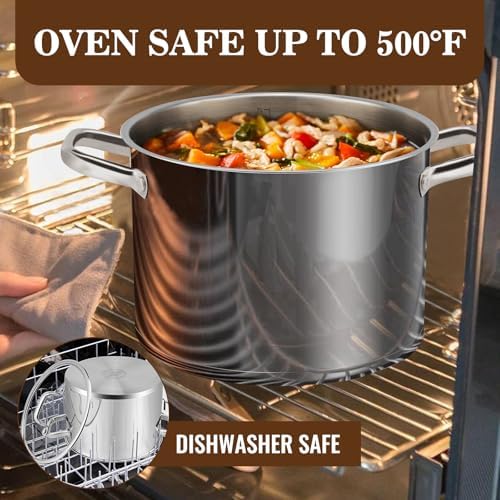 Rorence 8 QT Stockpot with Tempered Glass Lid 1