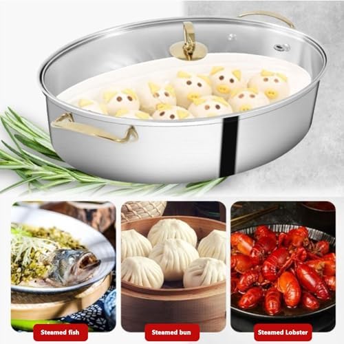AIZYR 304 Stainless Steel 2 Tier Fish Steamer with Rack Lid