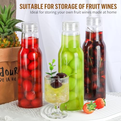 25oz Borosilicate Glass Bottles with Lids 2 Pack