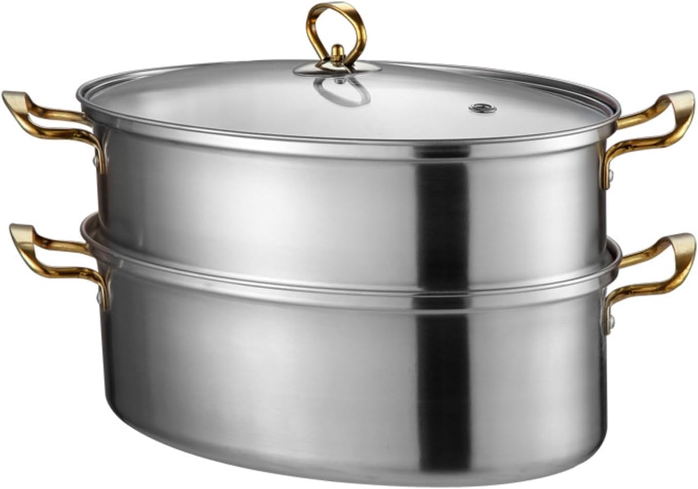 AIZYR 304 Stainless Steel 2 Tier Fish Steamer with Rack Lid