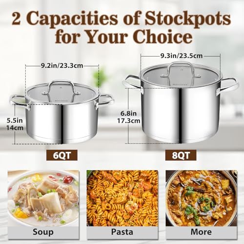 Rorence 8 QT Stockpot with Tempered Glass Lid 1
