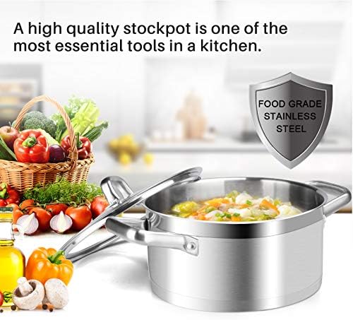 Duxtop 42Qt Stockpot with Glass Lid Induction Ready