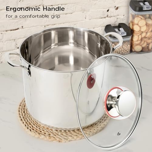 12 Quart Stainless Steel Stock Pot with Lid