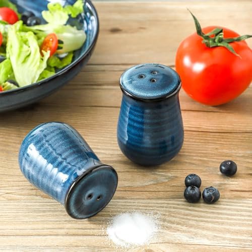 Tikooere Salt and Pepper Shakers Set of 2 Navy Blue and Pink