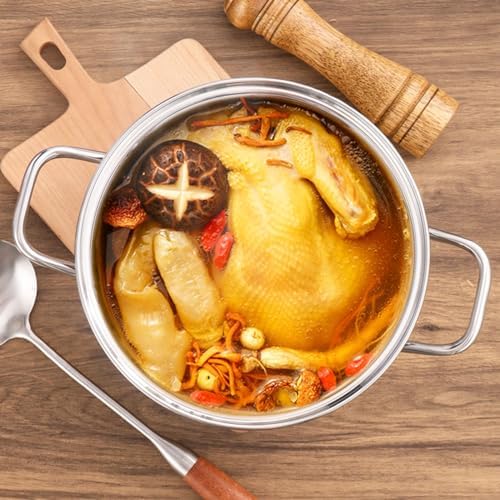 AIZYR 65L Stock Pot with Lid 304 Stainless Steel