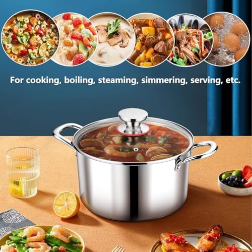 6 Quart Stockpot with Tempered Glass Lid for Induction Electric Gas