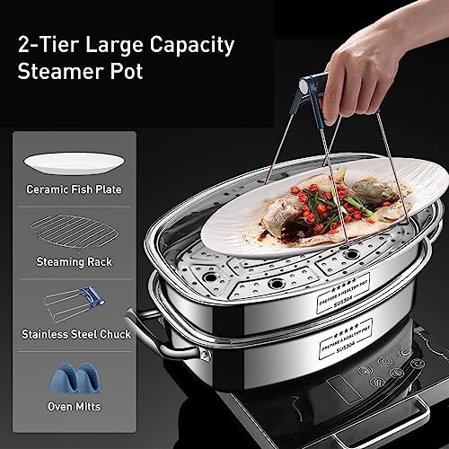 Eglaf 2-Tier Fish Steamer with Ceramic Plate and Oven Mitts 1