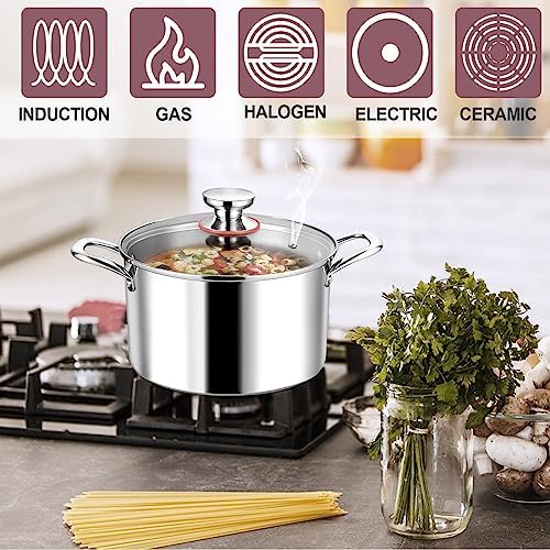 LIANYU 6QT Stainless Steel Stockpot with Lid 1