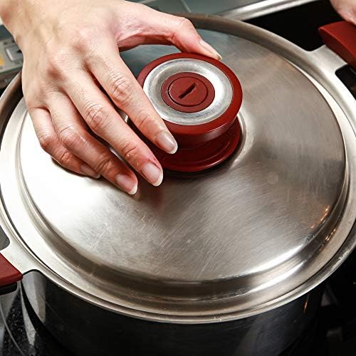 BUFFALO Stainless Steel Stock Pot 10 Inch with Lid