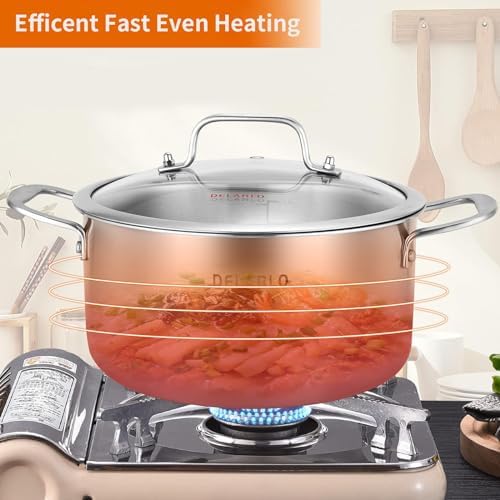 Delarlo 6QT Tri-Ply Stainless Steel Stockpot with Lid